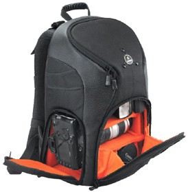 Borsa Fancier